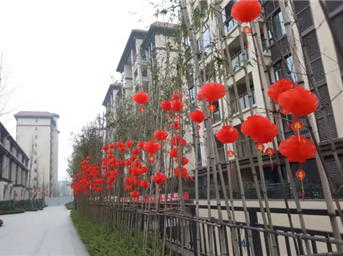 龍光服務(wù) | 新春喜迎“新”，“年”味兒溢滿(mǎn)盈