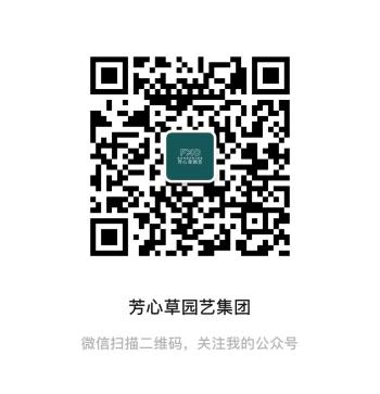 圖片 4