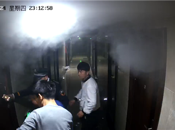 因為救出“四川最牛皮咪咪”，我們被四川電視臺報道了 | 中駿頭條