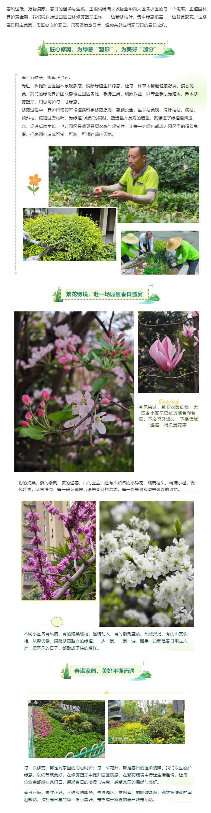 春滿(mǎn)園區｜修剪塑形煥新顏，繁花綴境赴美好